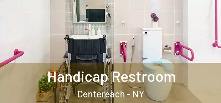 Handicap Restroom Centereach - NY
